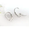 Brisuren mit Klappscharnier Silber 925 SBB05