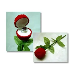 Verpackung - Schmucketui Rose (SK24)